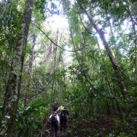 Sixth Form Indonesia trip: leeches, learning and living in the moment - Photo 3