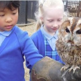 Year 1 Learn About Owls During Their Trip To Herrings Green Farm! - Photo 2